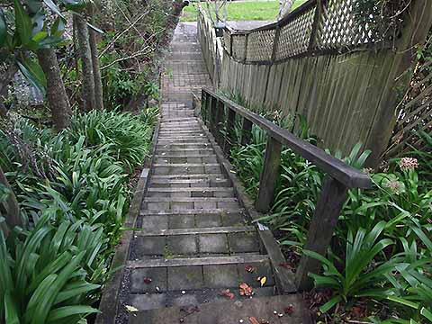Landscape Stairway in Kohimarama, Auckland